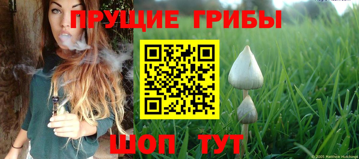 Галлюциногенные грибы мицелий Сосновоборск